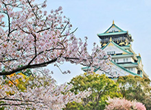 C7官方-【英超】马夏尔2球+中柱 拉师傅+青木破门 曼联4比1